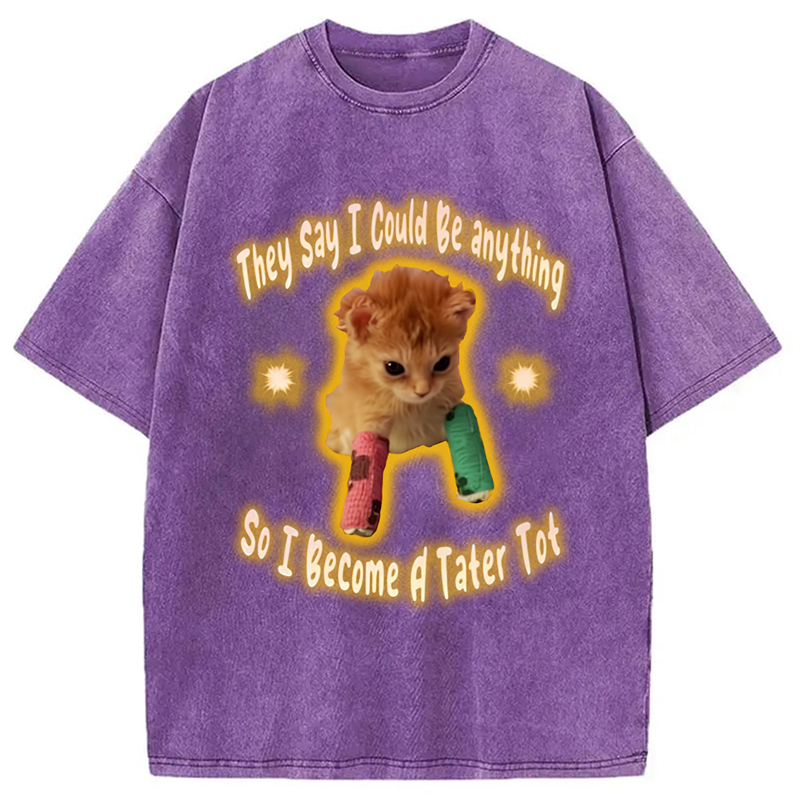 Modecanvas Tater Tot Cat Funny Meme Washed T-Shirt