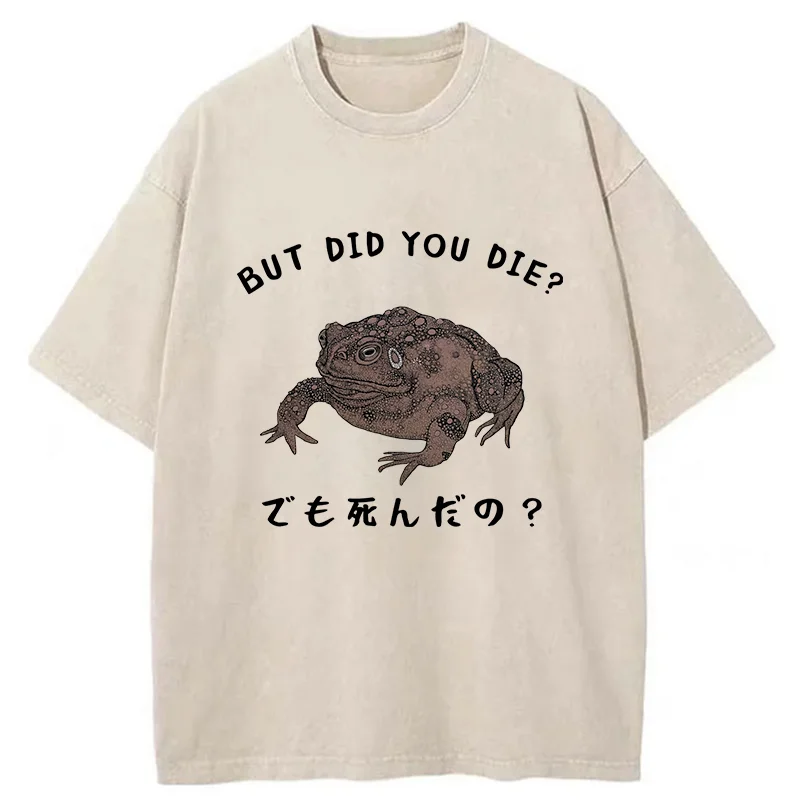 Modecanvas Question From Frog Funny Washed T-Shirt