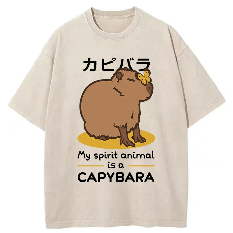 Modecanvas Spirit Animal Capybara Washed T-Shirt