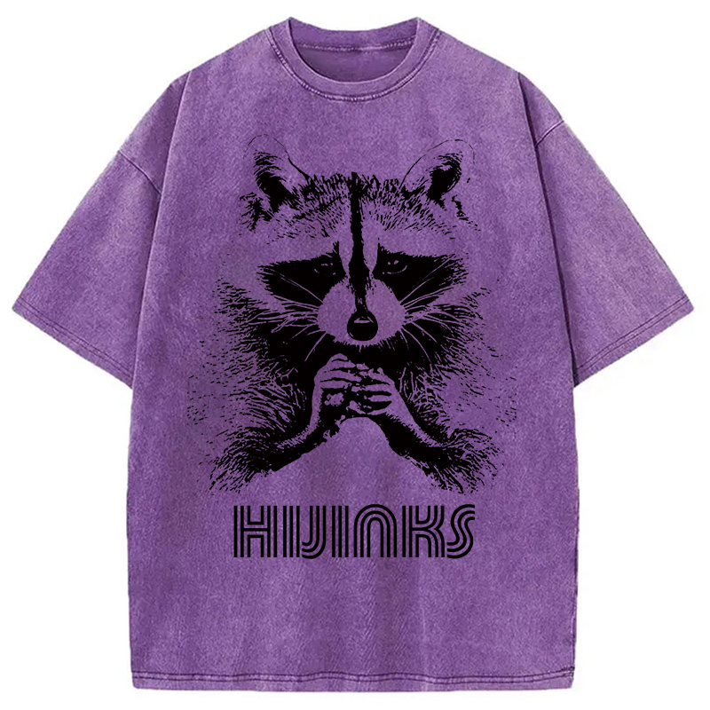 Modecanvas Raccoon Hijinks Washed T-Shirt