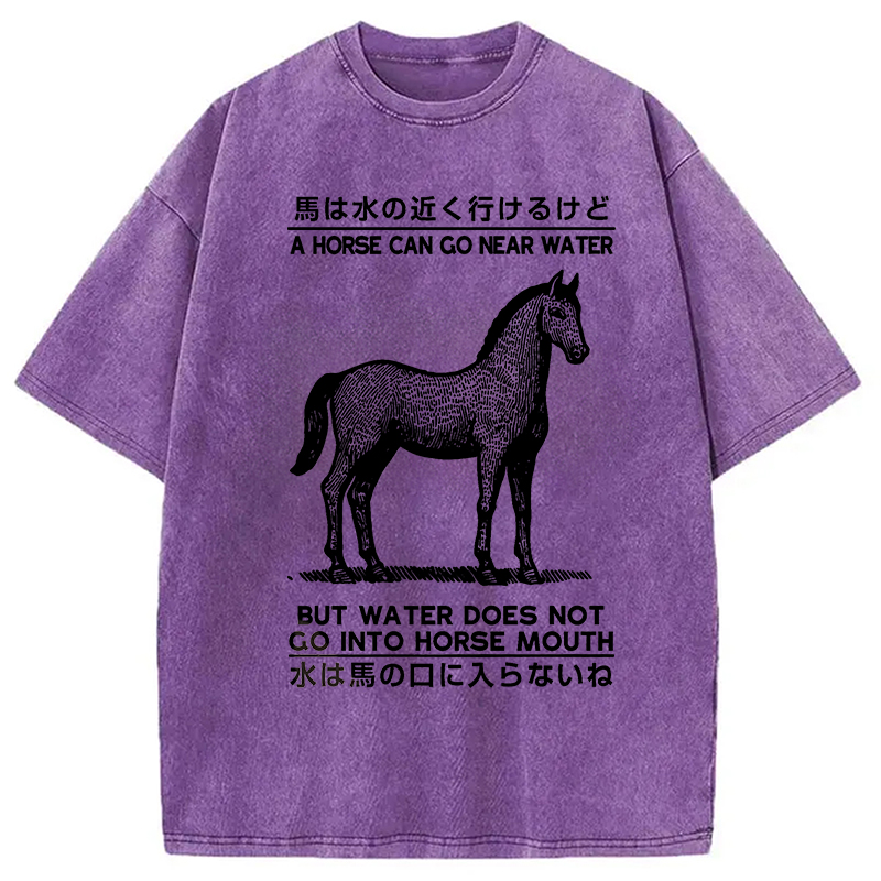 Modecanvas Funny Horse And Water Saying Washed T-Shirt