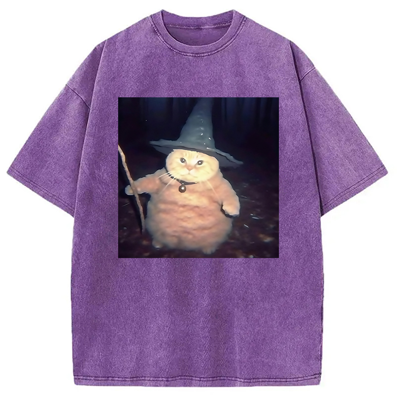 Modecanvas Wizard Cat Funny Halloween Washed T-Shirt-modecanvas
