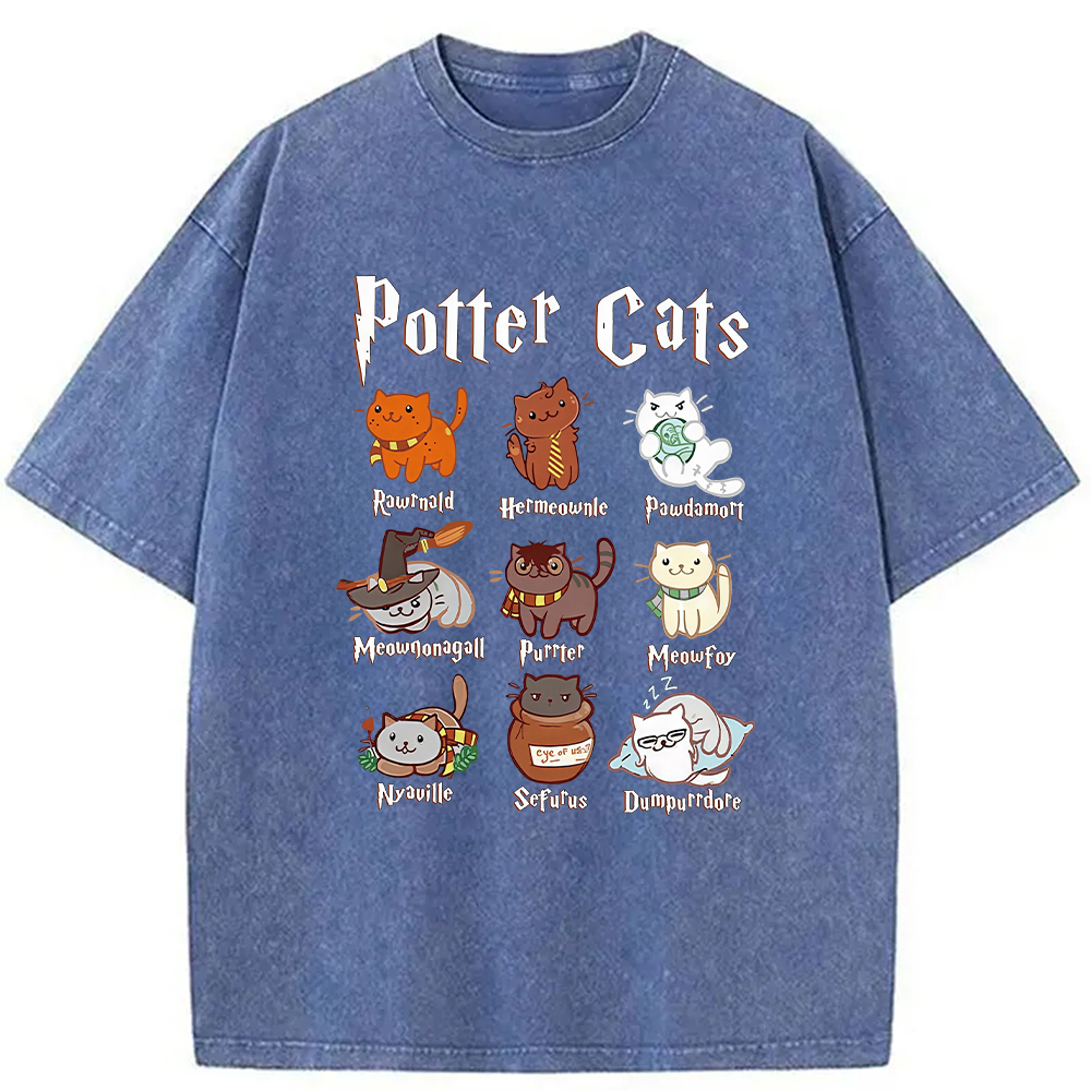 Modecanvas Wizard Cats Washed T-Shirt