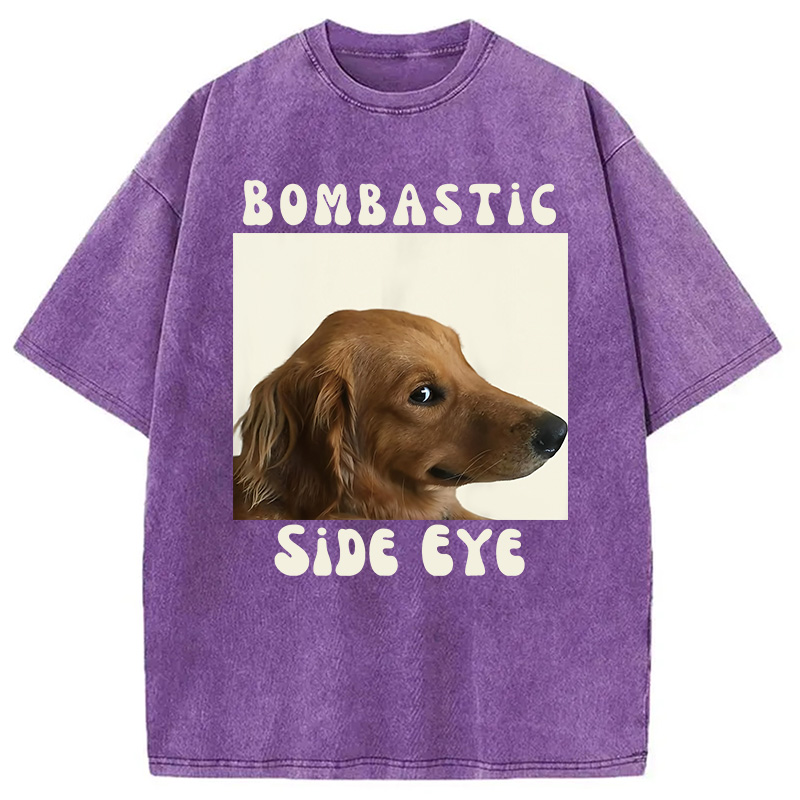 Modecanvas Bombastic Side Eye Funny Dog Meme Washed T-Shirt