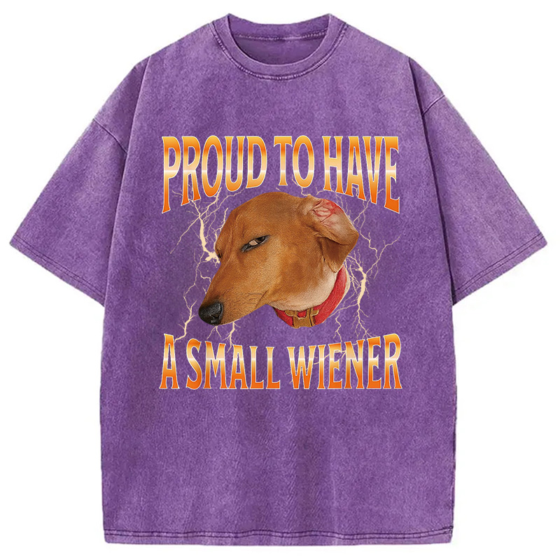 Modecanvas Funny Dog Meme Washed T-Shirt