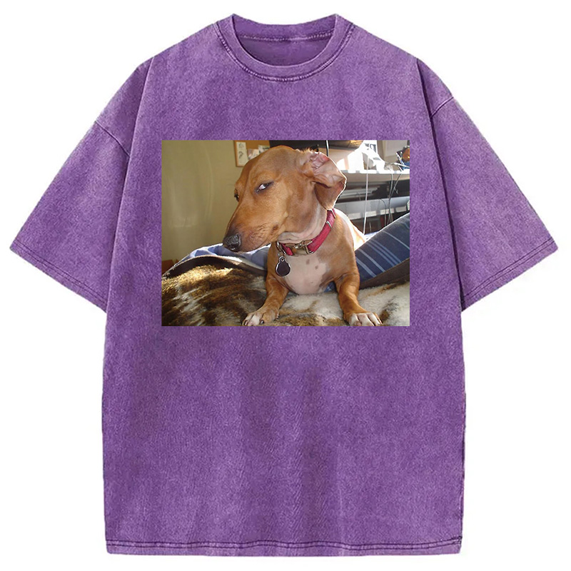 Modecanvas Side Eye Dog Meme Washed T-Shirt