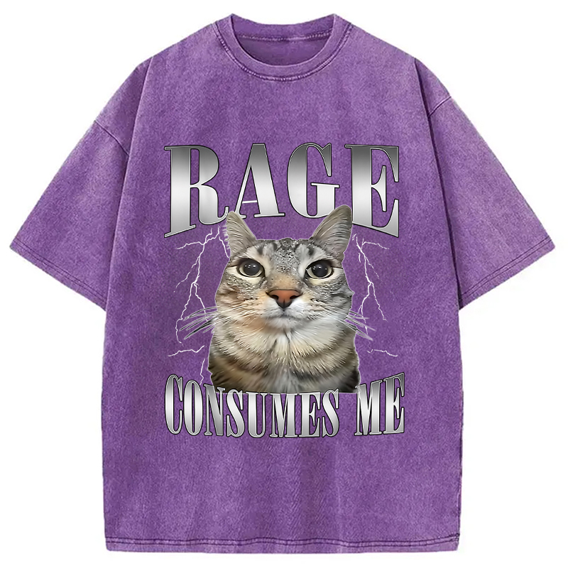 Modecanvas Rage Consumes Me Funny Cat Washed T-Shirt