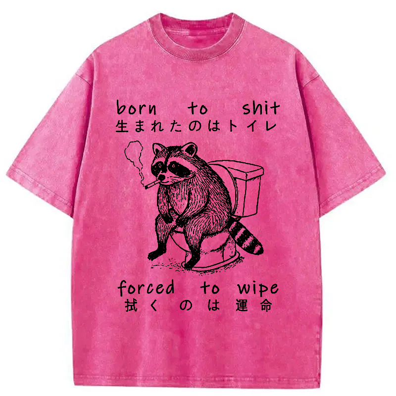 Modecanvas Decadent Raccoon Washed T-Shirt