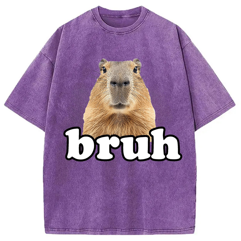 Modecanvas Bruh Capybara Washed T-Shirt