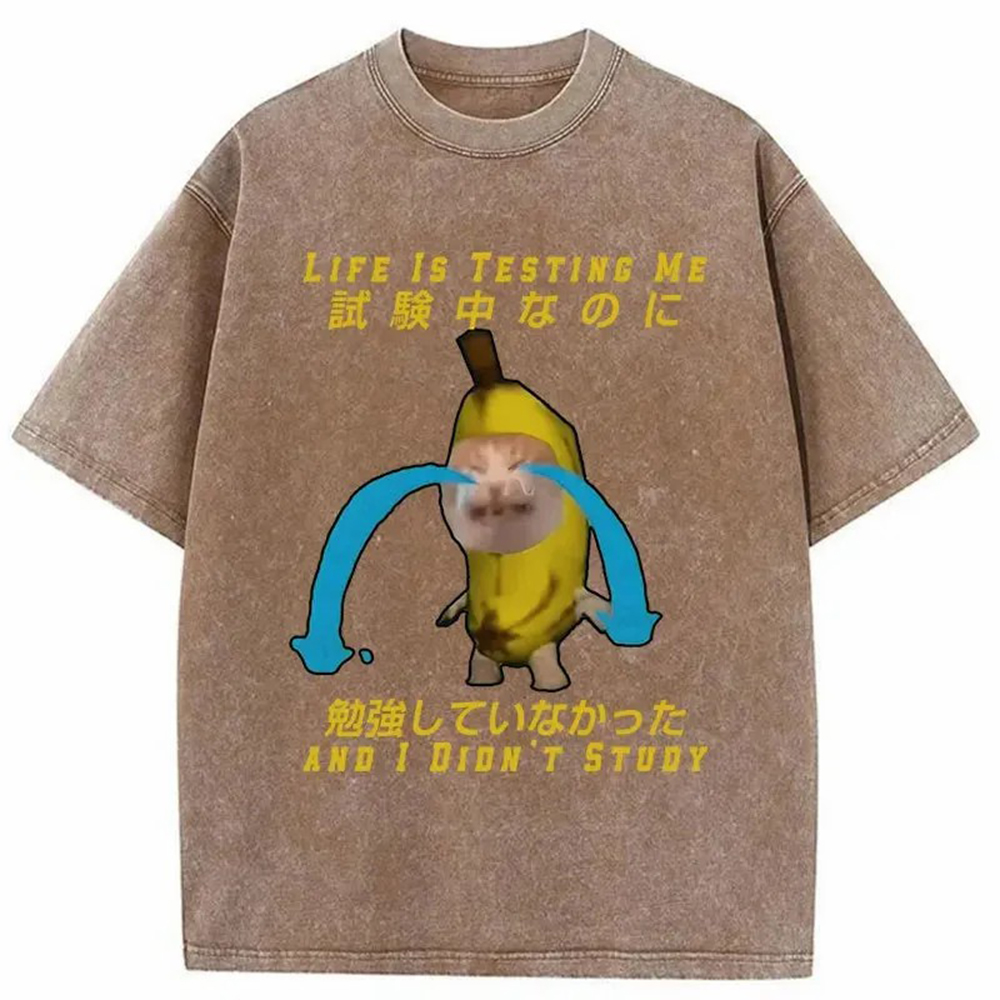 Modecanvas Cat Forced By Life Washed T-Shirt