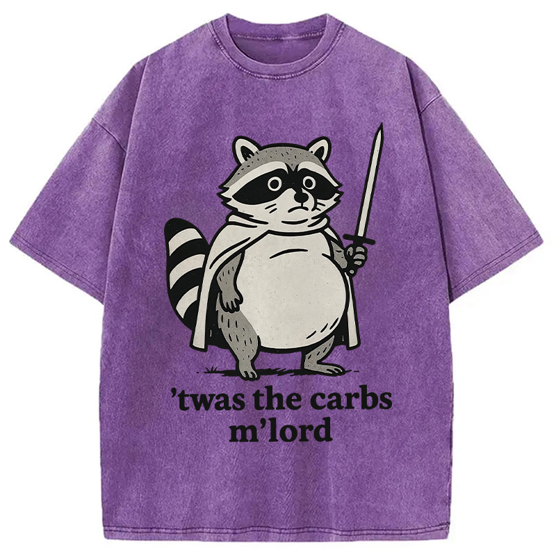 Modecanvas Fat Raccoon Sword Humor Washed T-Shirt