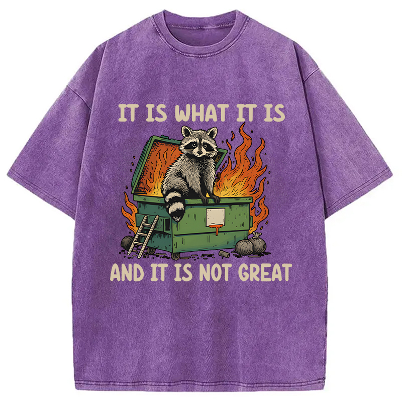Modecanvas It Is What It Is Dumpster Fire Funny Raccoon Meme Washed T-Shirt