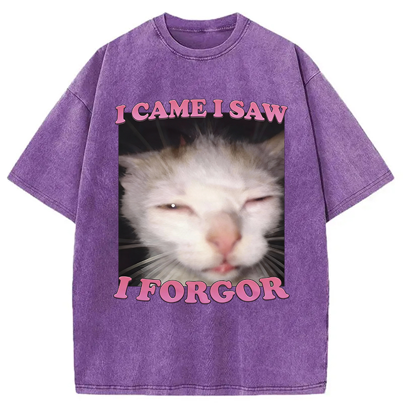 Modecanvas I Forgor Funny Cat Meme Washed T-Shirt-modecanvas