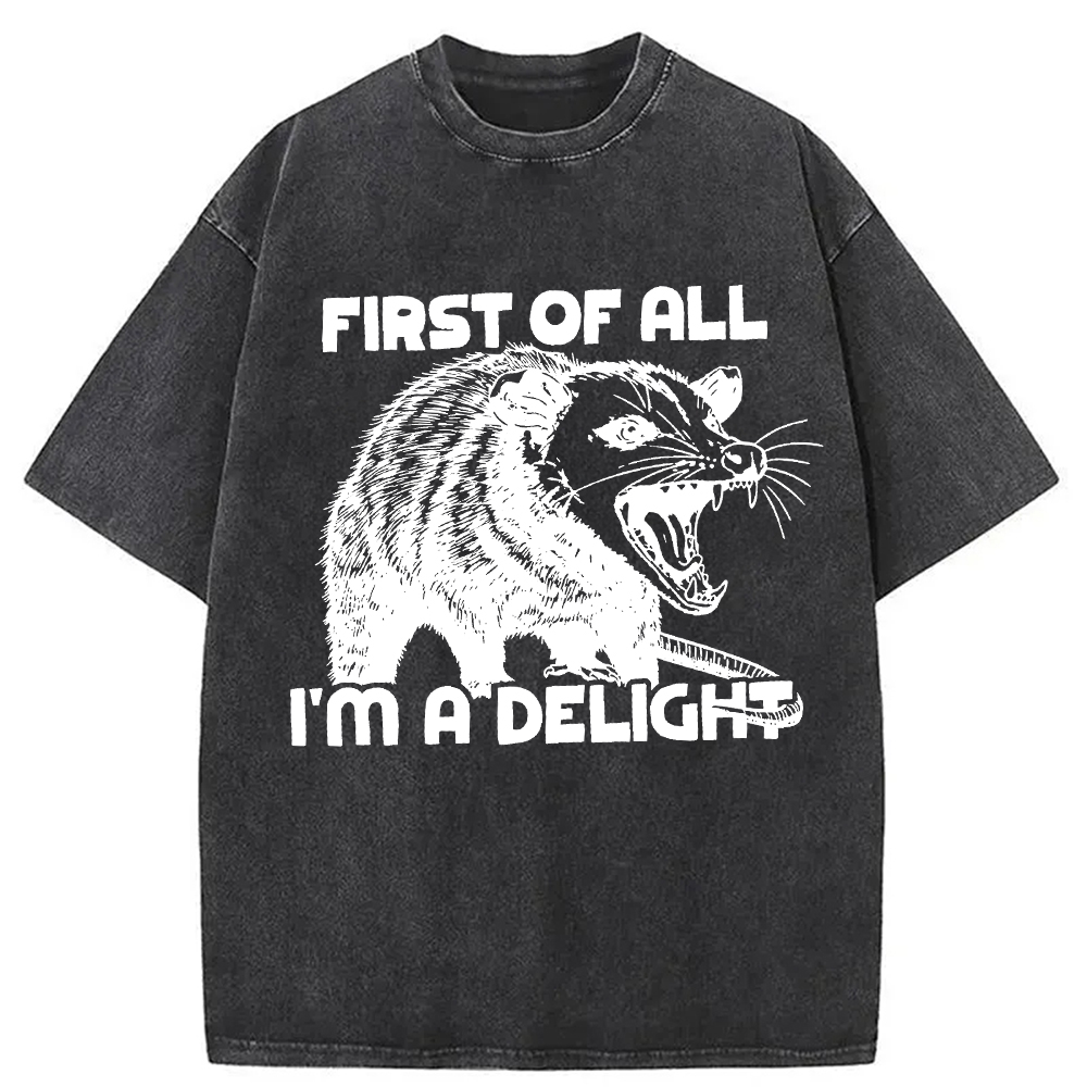 Modecanvas First of All Possum Washed T-Shirt