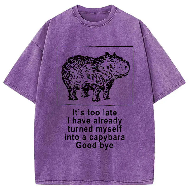 Modecanvas I Have Turned Myself Into A Capybara Washed T-Shirt-modecanvas