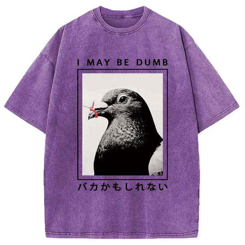 Modecanvas I May Be Dumb Funny Washed T-Shirt-modecanvas