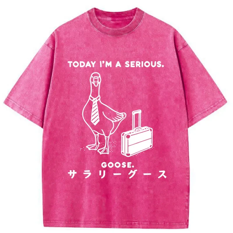 Modecanvas Hard Working Goose Washed T-Shirt