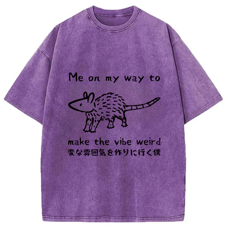 Modecanvas Making The Vibe Weird Washed T-Shirt