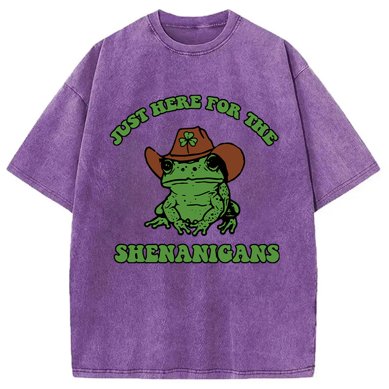 Modecanvas Here for the Shenanigans Washed T-Shirt
