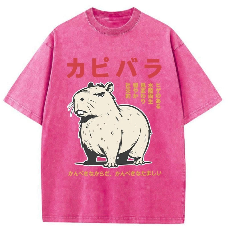 Modecanvas Angry Capybara Japan Washed T-Shirt