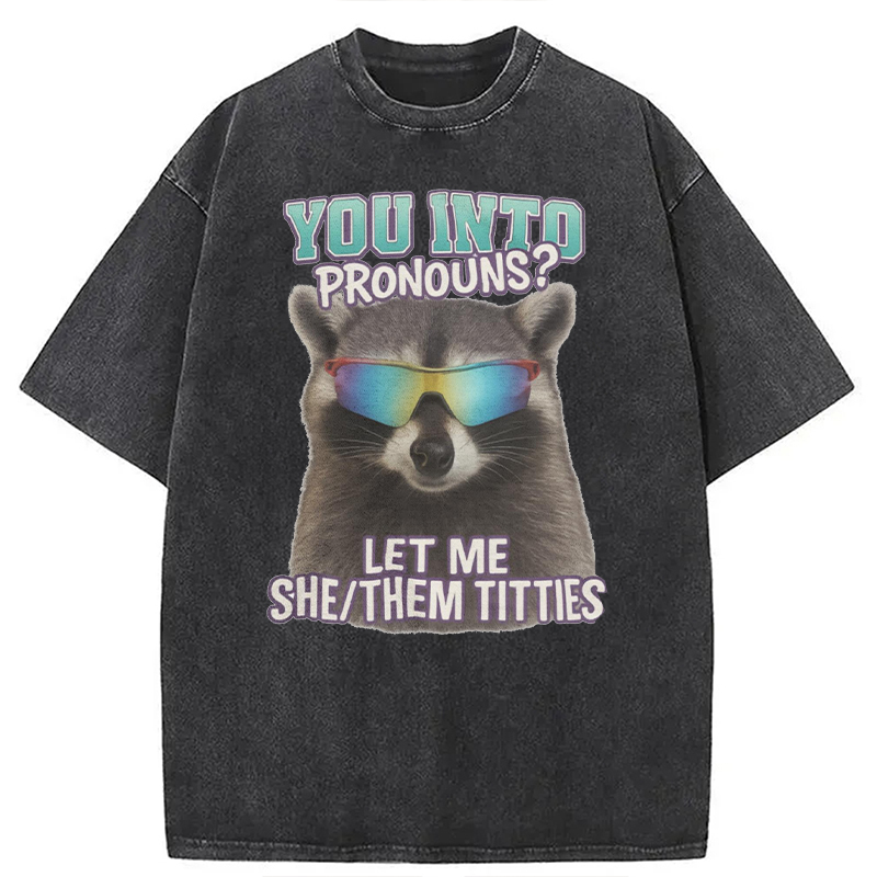 Modecanvas You Into Pronouns? Let Me She/Them Titt*es Raccoon DTG Printing Washed T-Shirt