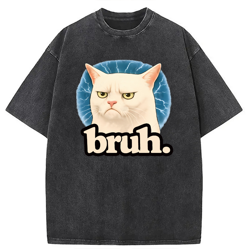 Modecanvas Bruh Cat Meme DTG Printing Washed T-Shirt