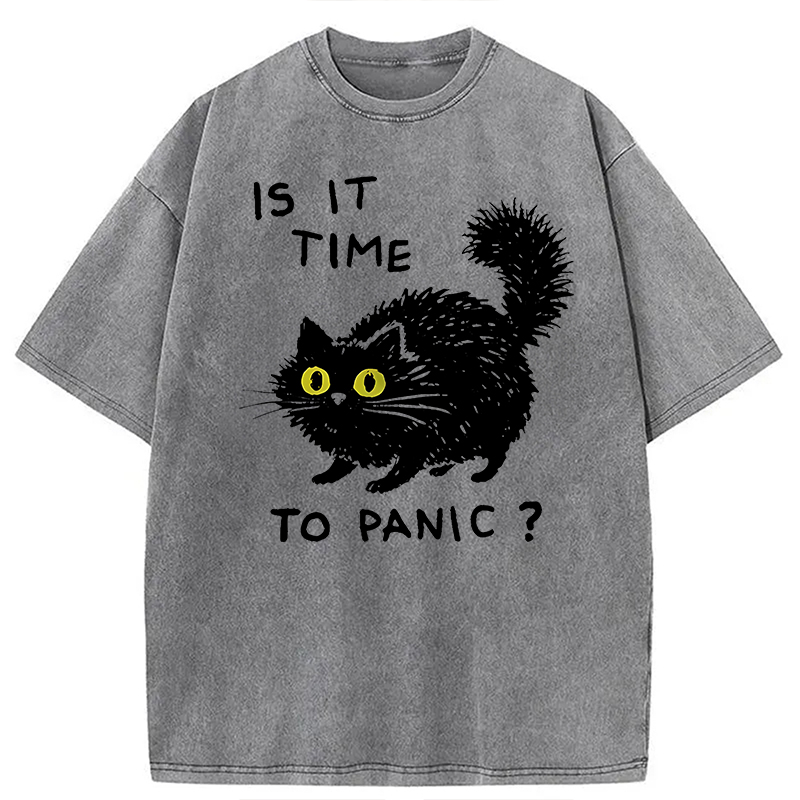 Modecanvas Is It Time to Panic Cat DTG Printing Washed T-Shirt