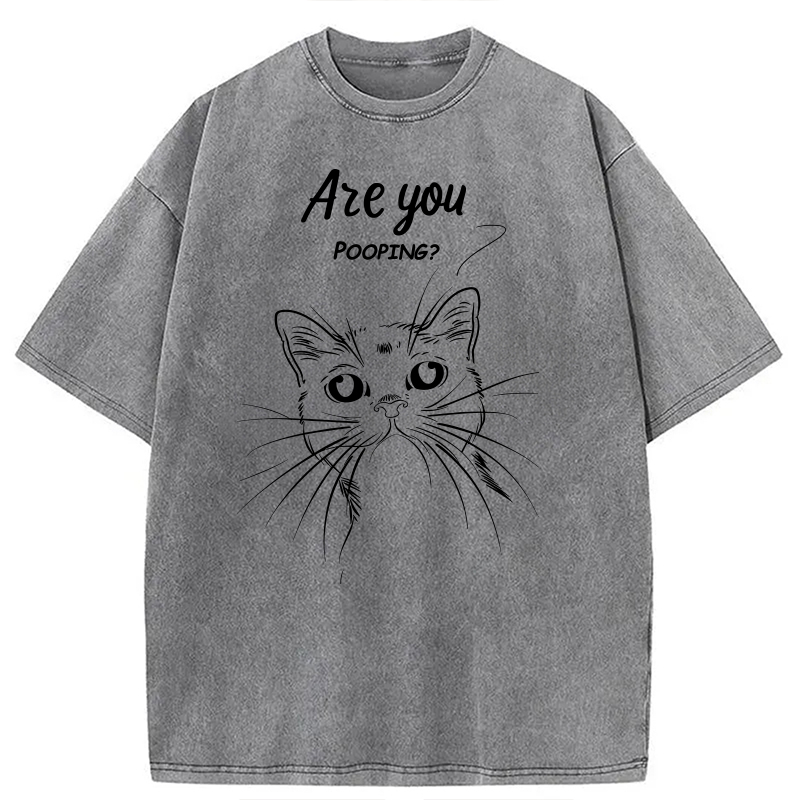 Modecanvas Black Cat Are You Pooping DTG Printing Washed T-Shirt