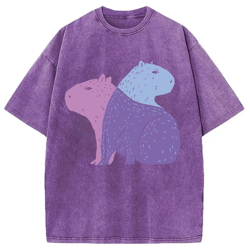 Modecanvas Double Capybaras DTG Printing Washed T-Shirt
