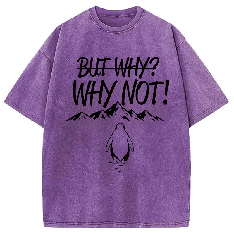 Modecanvas But Why/Why Not Penguin Meme DTG Printing Washed T-Shirt