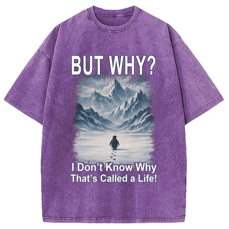 Modecanvas But Why Mountain Nihilist Penguin DTG Printing Washed T-Shirt-modecanvas