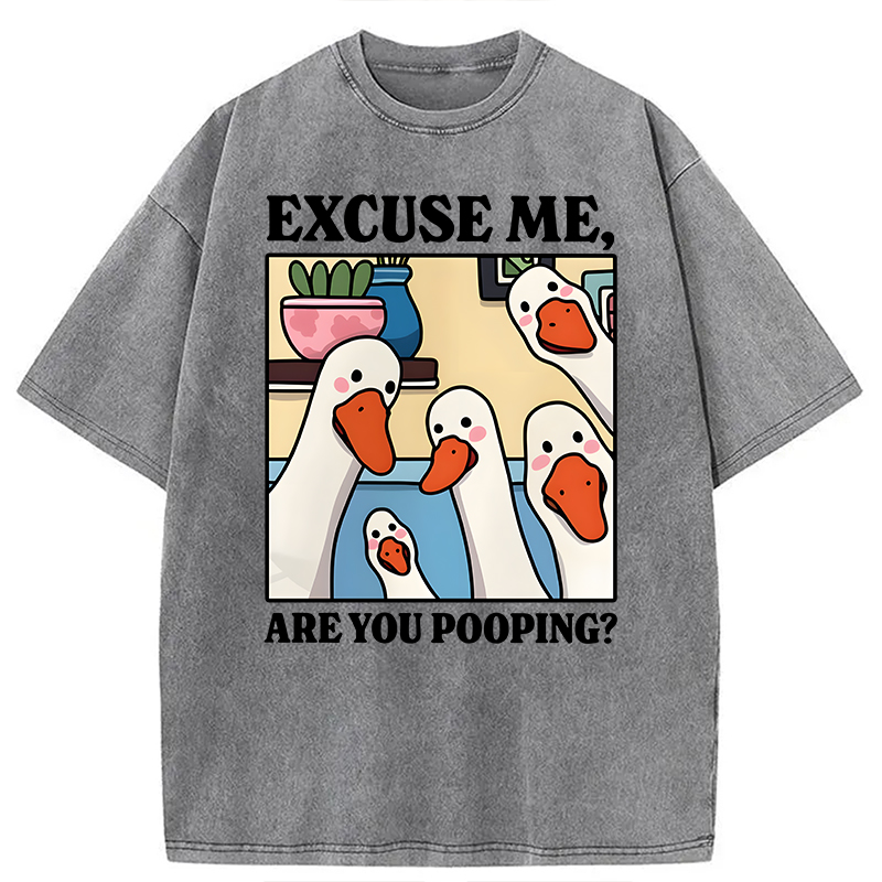 Modecanvas Are You Pooping Goose Meme DTG Printing Washed T-Shirt-modecanvas