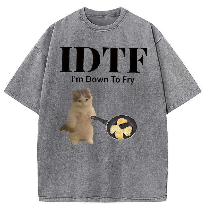 Modecanvas IDTF Pierogi DTG Printing Washed T-Shirt-modecanvas