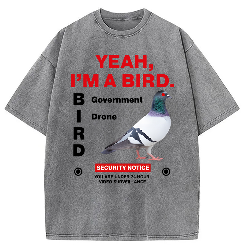 Modecanvas Government Funny Pigeon Puns DTG Printing Washed T-Shirt-modecanvas