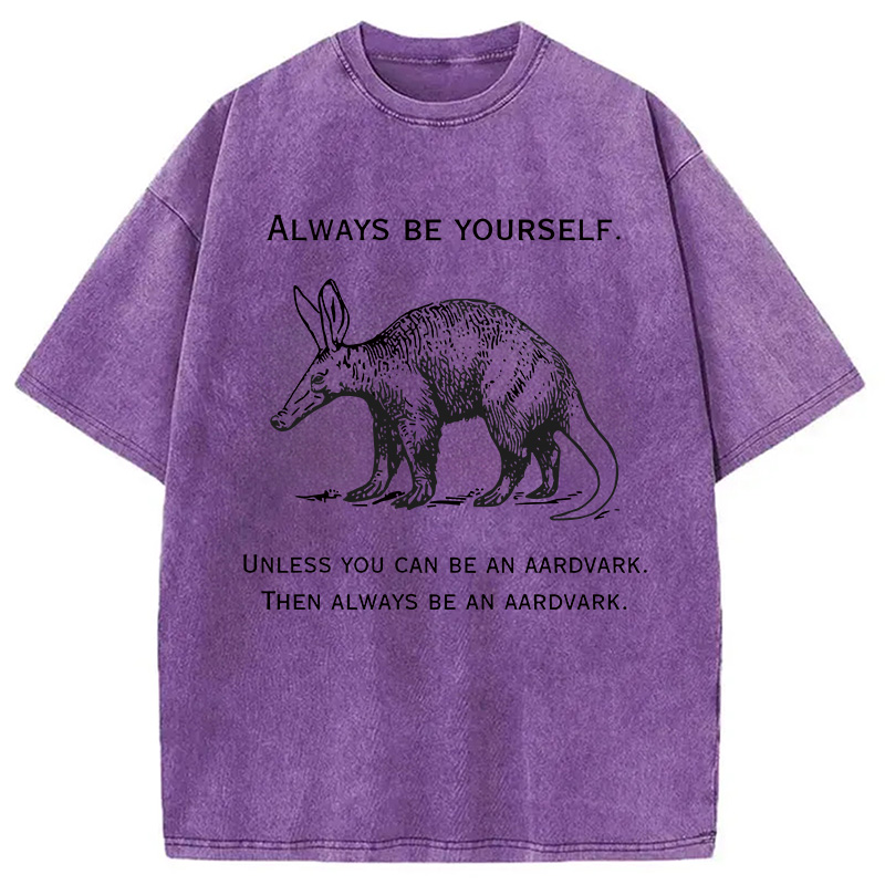 Modecanvas Always Be Yourself Meme DTG Printing Washed T-Shirt-modecanvas