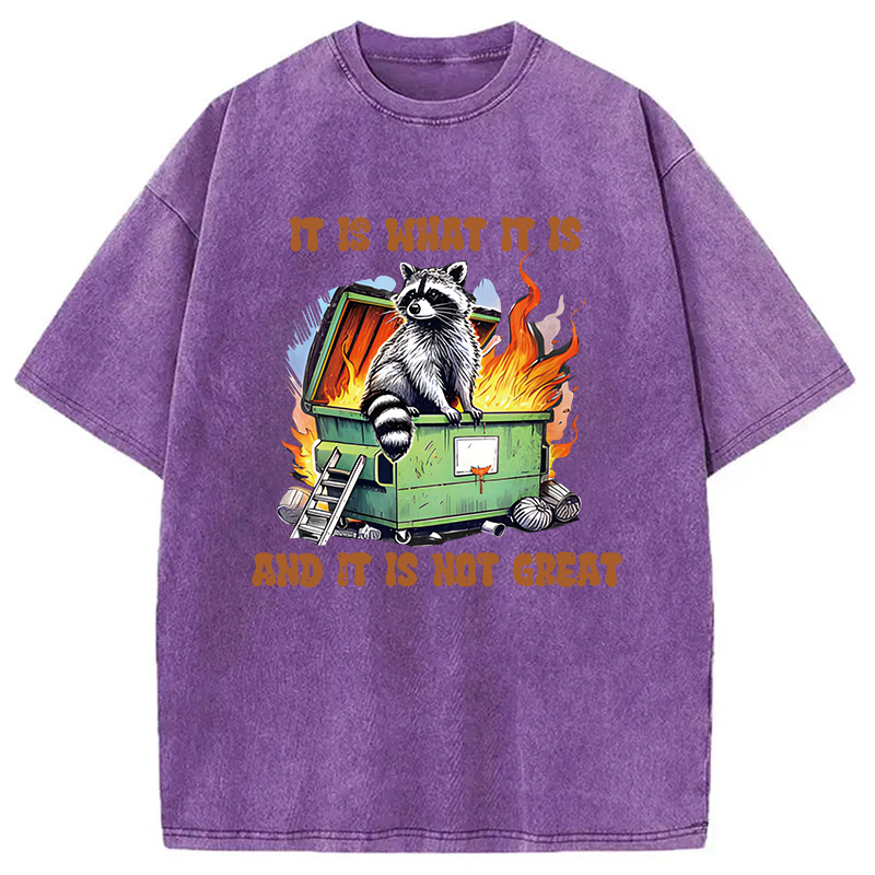 Modecanvas It is What Not Great Raccoon Meme DTG Printing Washed T-Shirt
