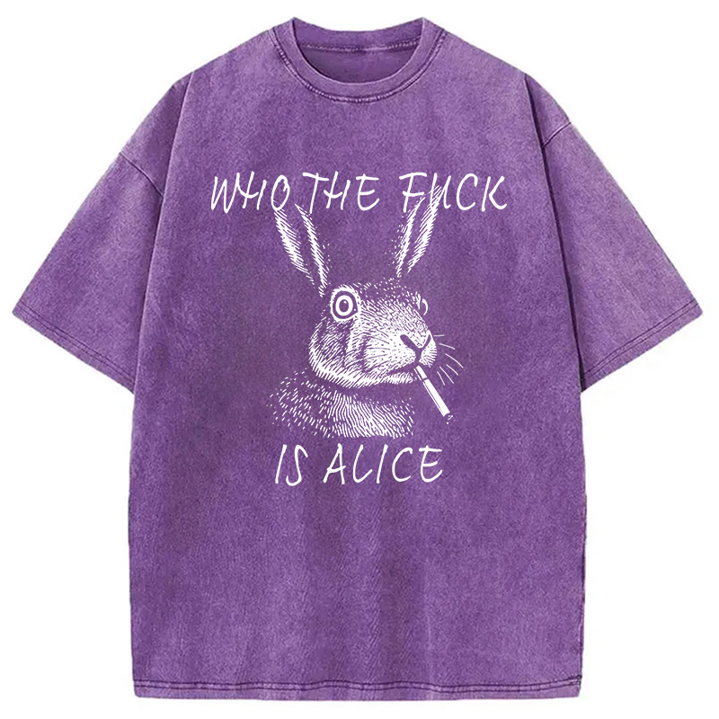 Modecanvas Who The Fck Is Alice Meme DTG Printing Washed T-Shirt