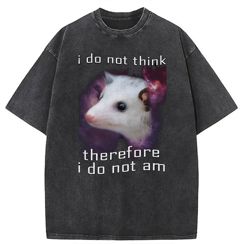 Modecanvas Confused Possum Space DTG Printing Washed T-Shirt
