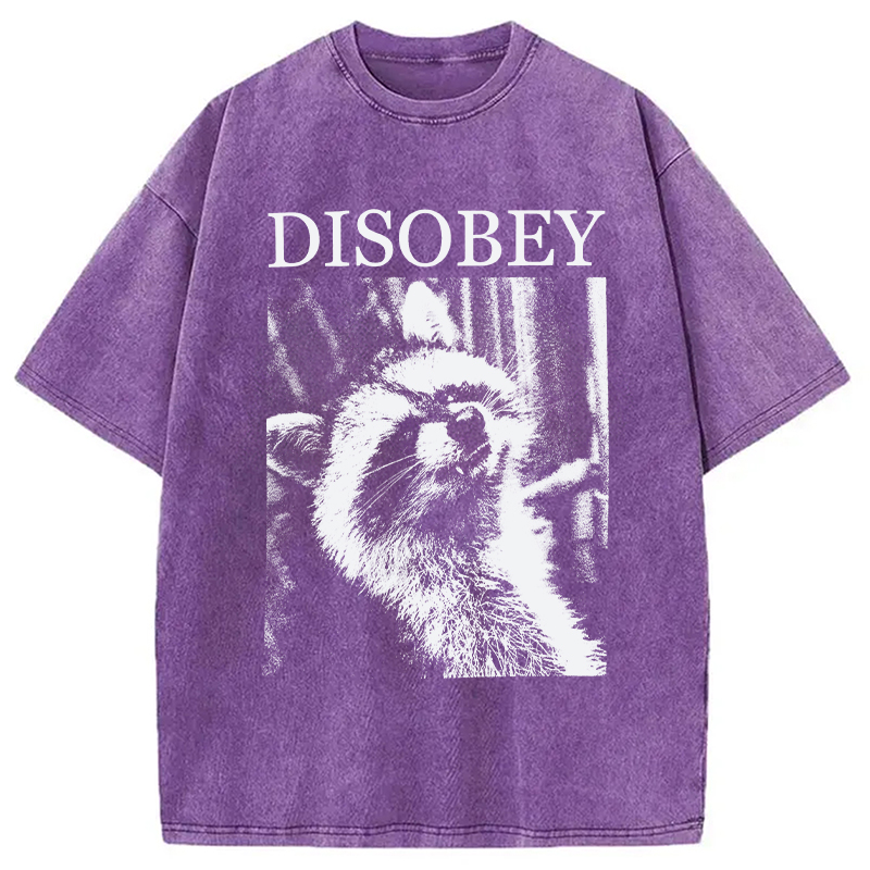 Modecanvas Disobey Raccoon DTG Printing Washed T-Shirt