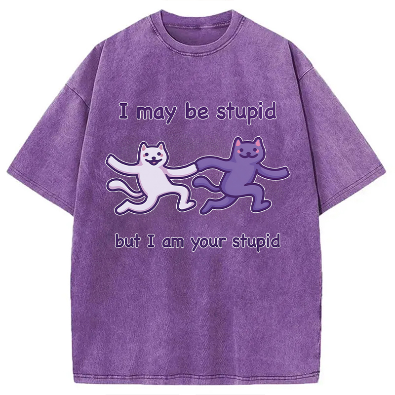 Modecanvas I Am Your Stupid DTG Printing Washed T-Shirt