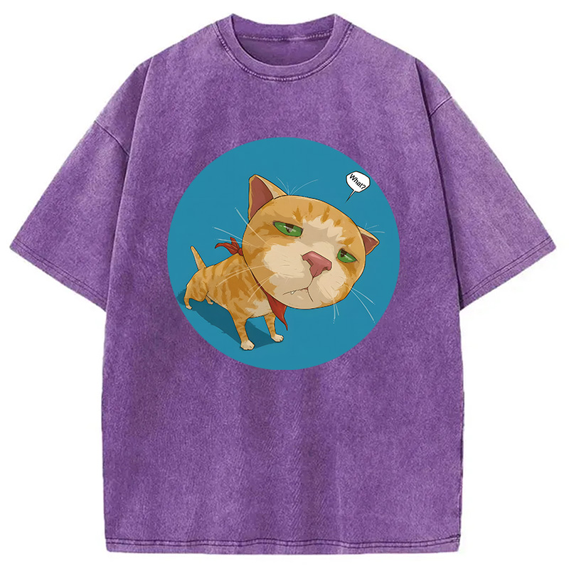 Modecanvas Confusing Cat DTG Printing Washed T-Shirt