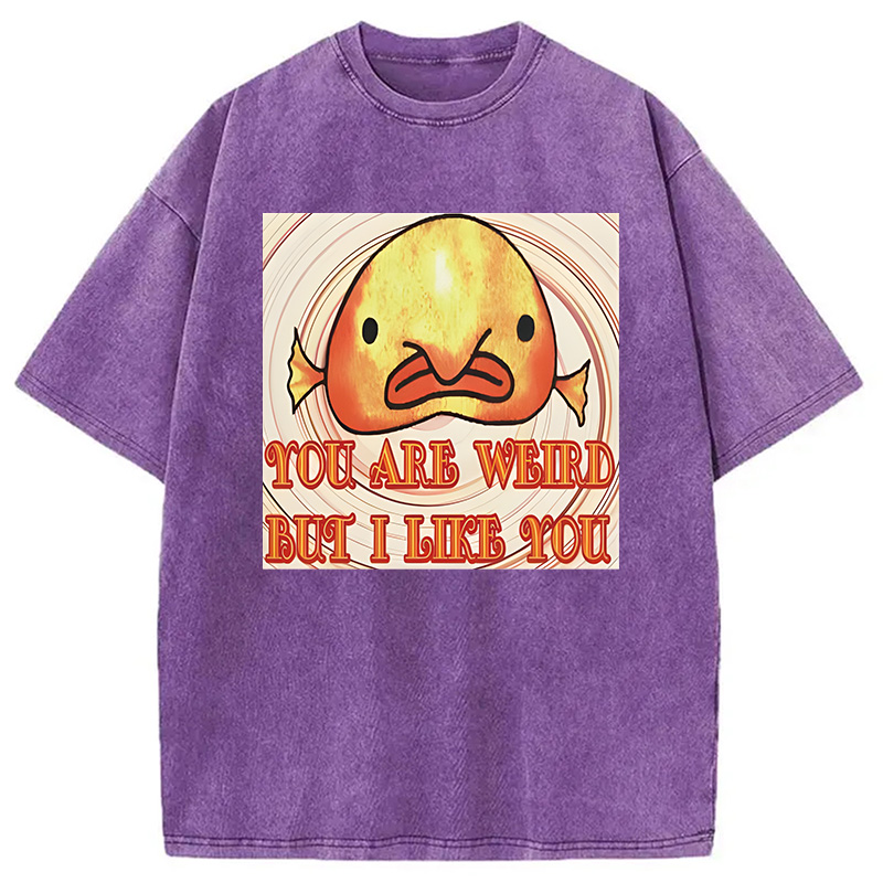 Modecanvas Odly Adorable Fish Meme DTG Printing Washed T-Shirt