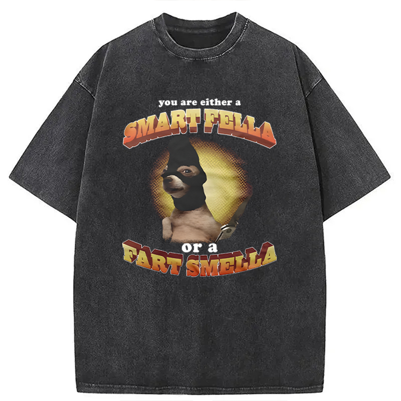 Modecanvas You Are Either A Smart Fella Or A Fart Smella Funny Meme DTG Printing Washed T-Shirt