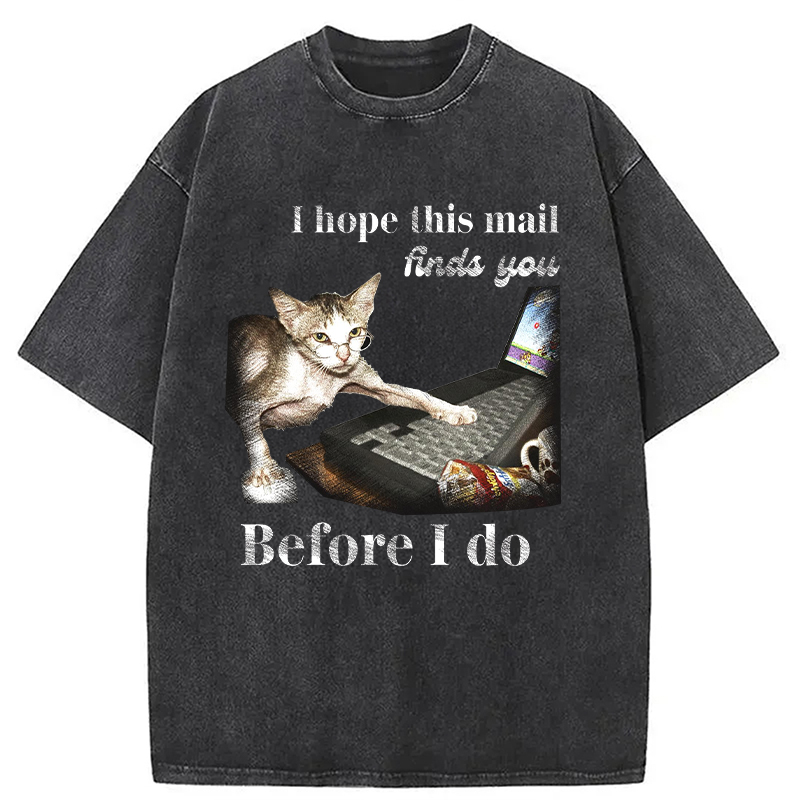 Modecanvas Funny Send Mail Cat Meme DTG Printing Washed T-Shirt