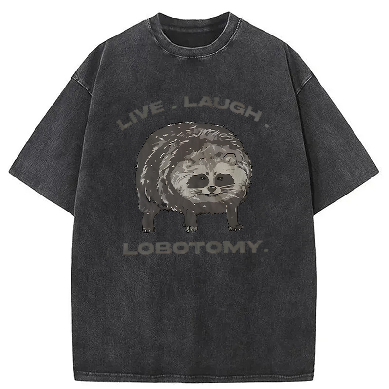 Modecanvas Live Laugh Lobotomy Funny Dolphin Meme DTG Printing Washed T-Shirt