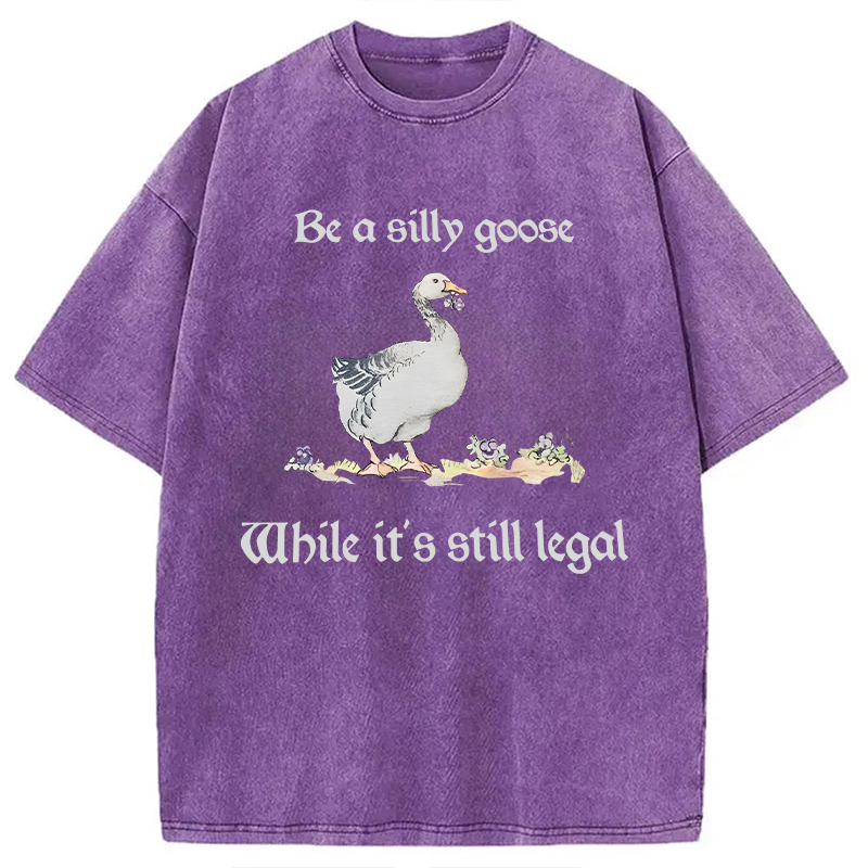 Modecanvas Be A Silly Goose DTG Printing Washed T-Shirt