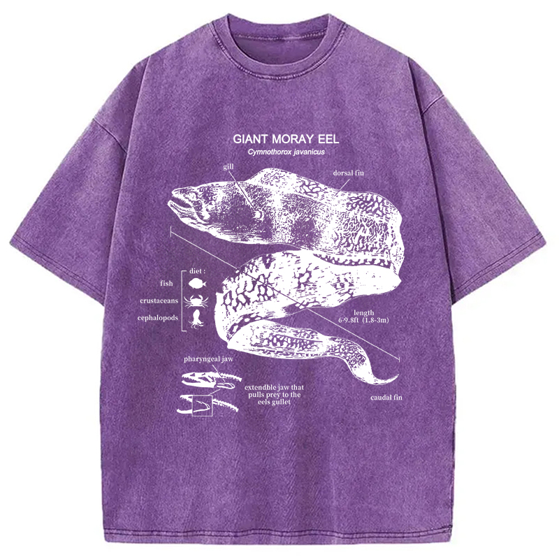 Modecanvas Moray Eel Anatomy Vintage DTG Printing Washed T-Shirt