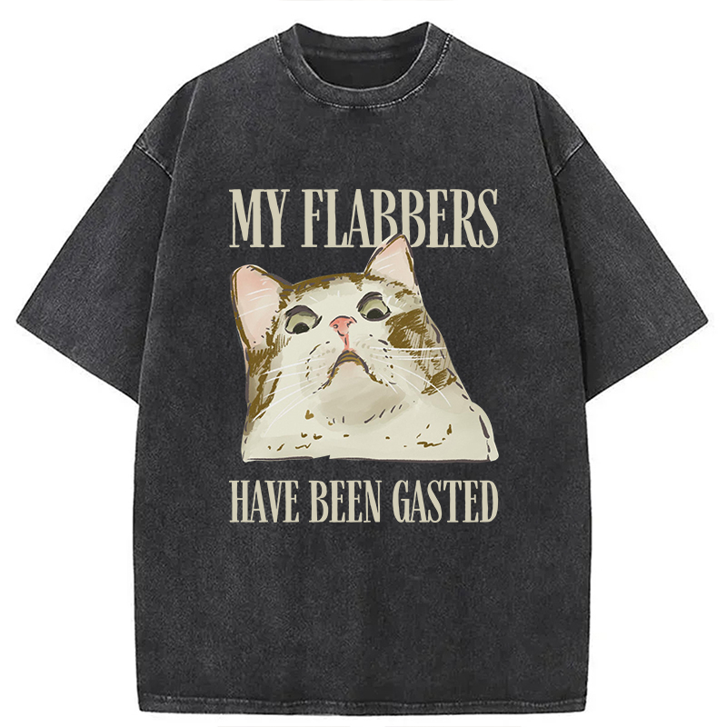 Modecanvas My Flabbers Have Been Gasted Cat Meme DTG Printing Washed T-Shirt