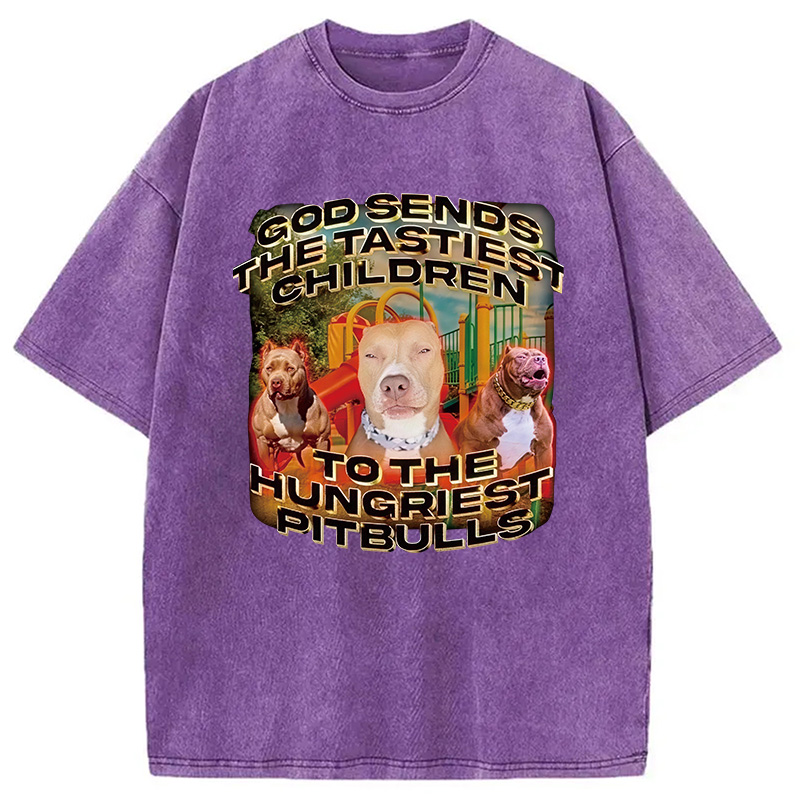 Modecanvas God Sends The Tastiest Children To The Hungriest Pitbulls DTG Printing Washed T-Shirt