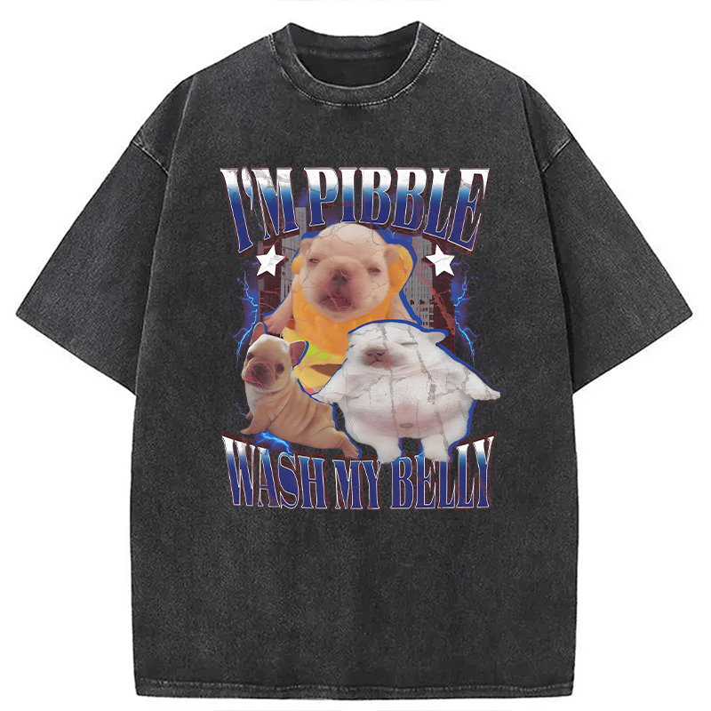 Modecanvas Everything is illegal DTG Printing Washed T-Shirt